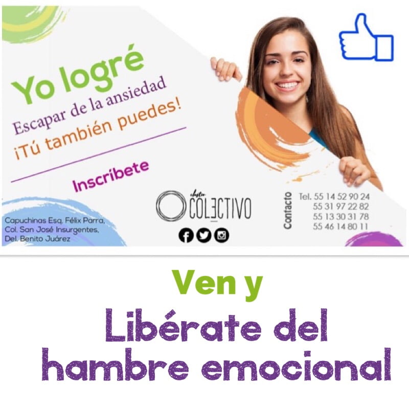 MI RELACIÓN EMOCIONAL CON LA COMIDA® CDMX Febrero 2019 San José Insur. MI RELACIÓN EMOCIONAL CON LA COMIDA® CDMX Febrero 2019 San José Insur.